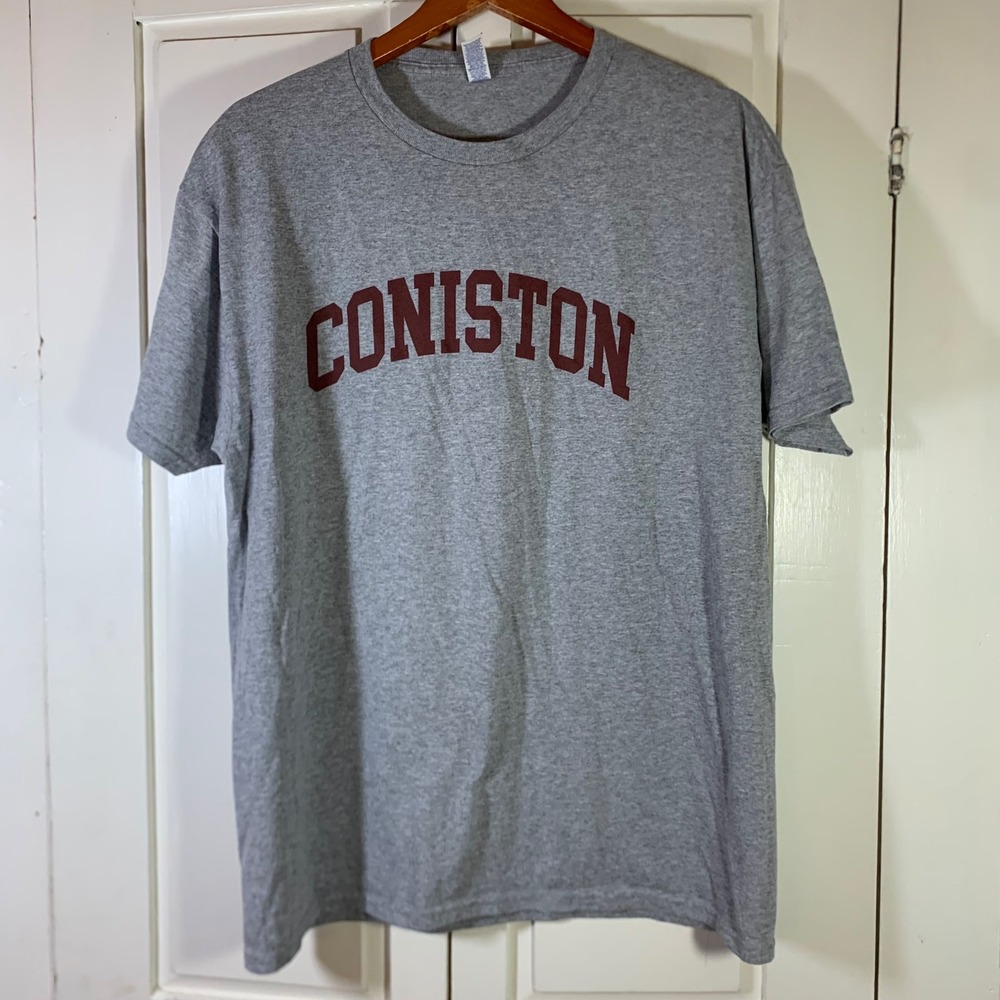 Camp Coniston YMCA Graphic T-Shirt Short Sleeve Jerzees Dri-Power Large Gray